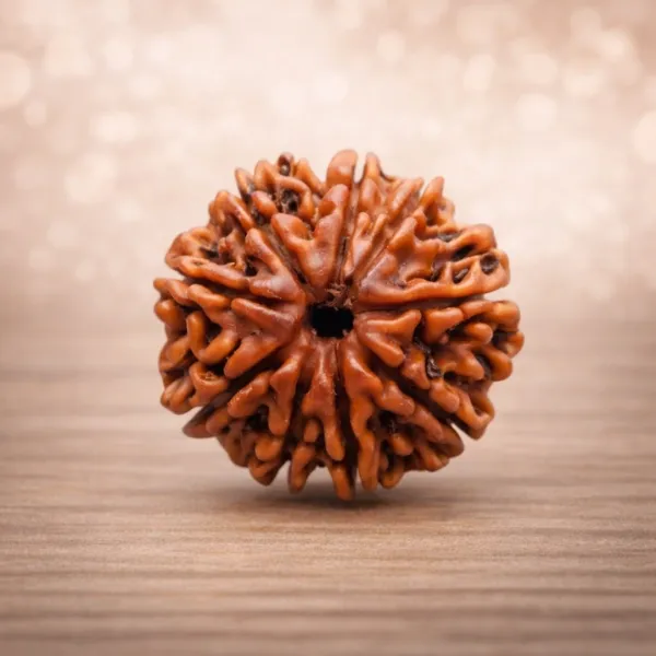 8 Mukhi Rudraksha Super – Ganesha's Grace
