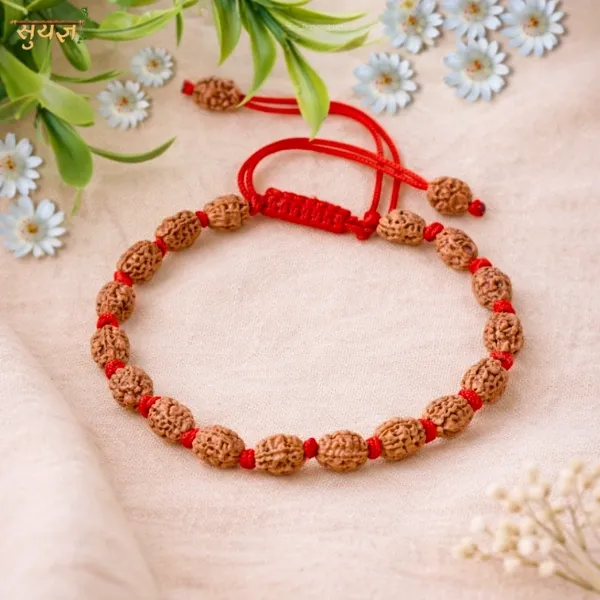 2 Mukhi Rudraksha Bracelet Super Quality – For Unity & Balance